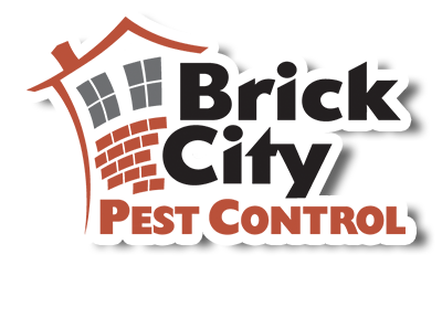 Brick City Pest Control